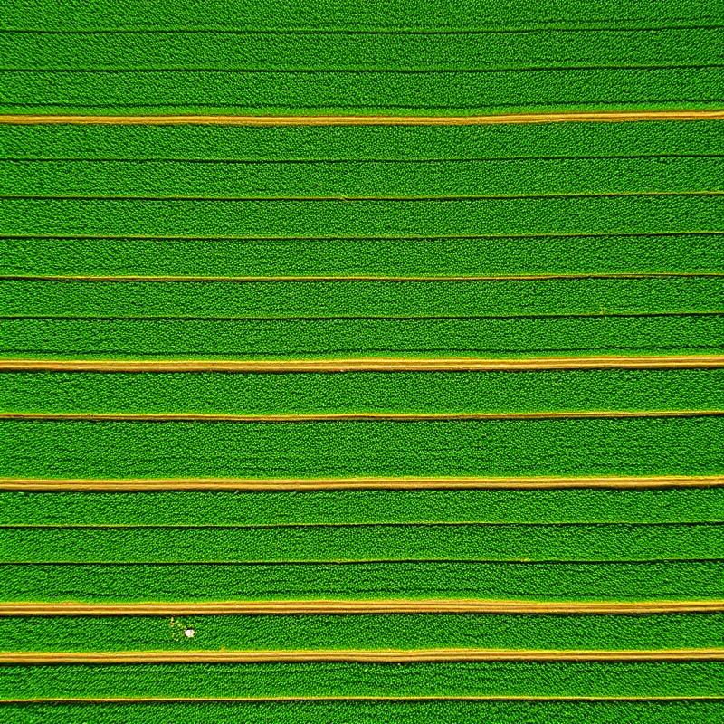 Agriculture